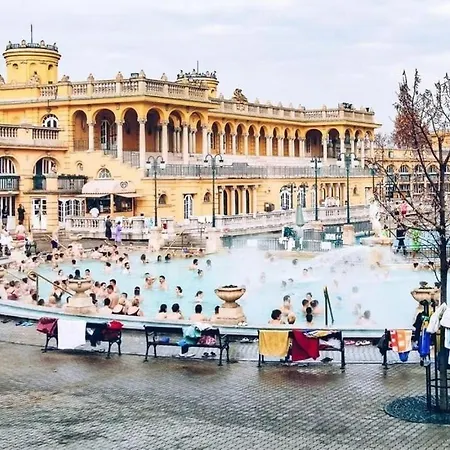 Danube & Buda Castle Views Steps From Parliament Апартаменты